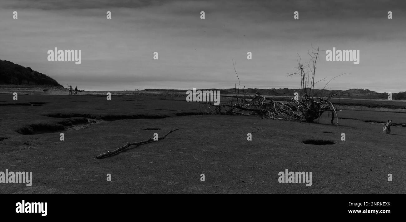 Detriti sul letto del fiume di marea Ogmore (Afon Ogwr) Ogmore by Sea, vale of Glamorgan Wales UK Aprile 2022 Foto Stock