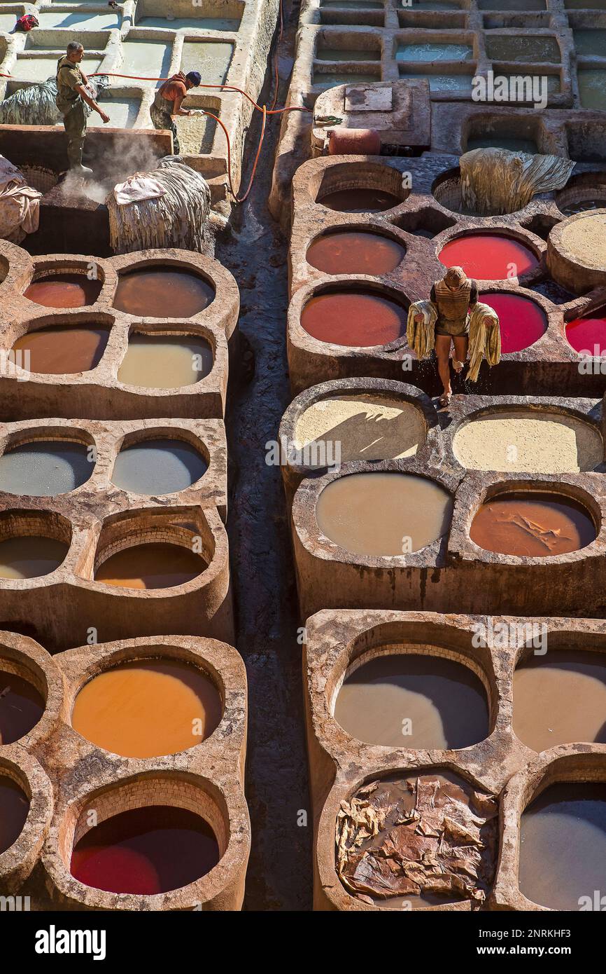 Chouwara concerie. Fez. Il Marocco Foto Stock