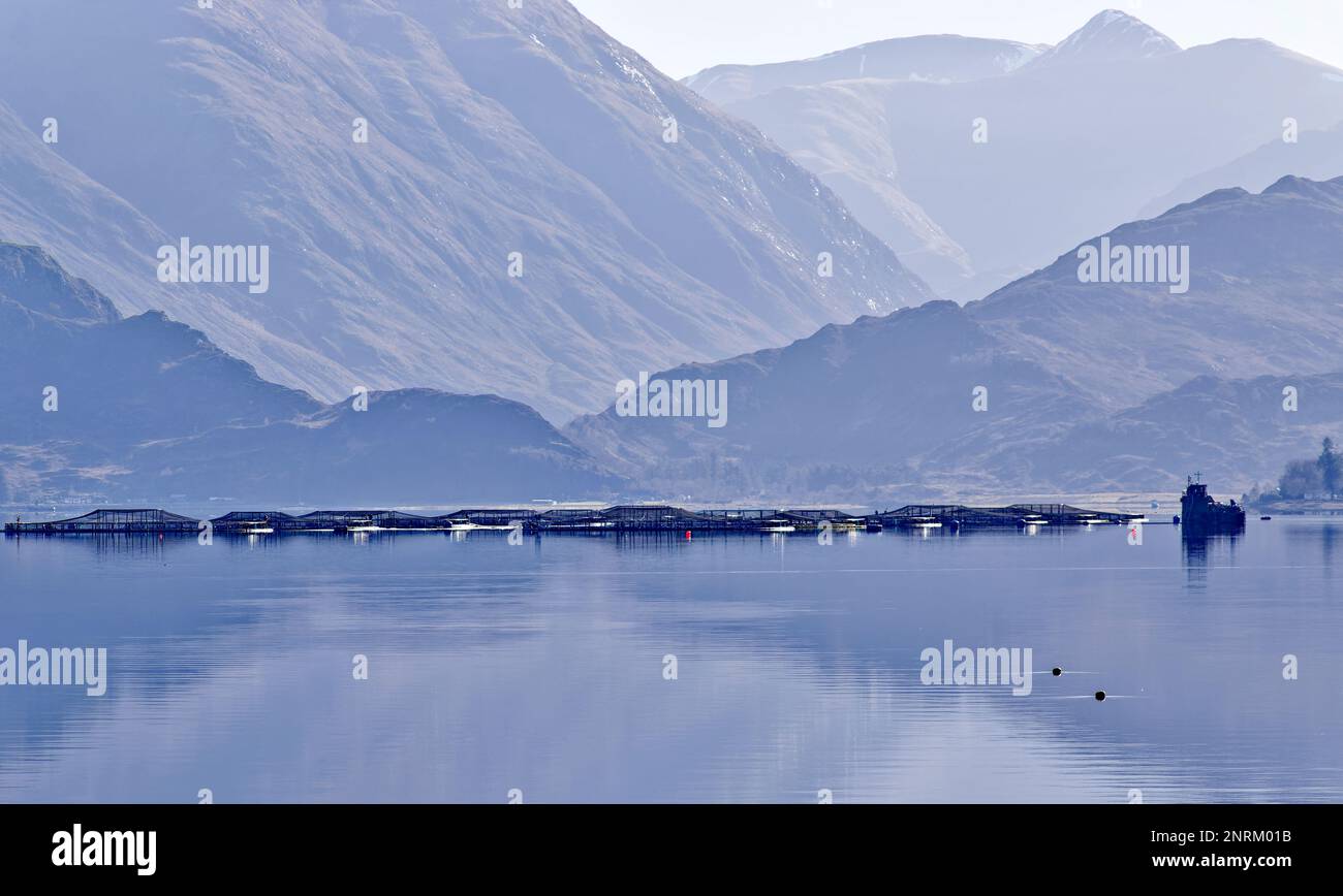 Loch Duich West Coast Scotland le gabbie o le reti di una fattoria di salmone nel lago di mare Foto Stock