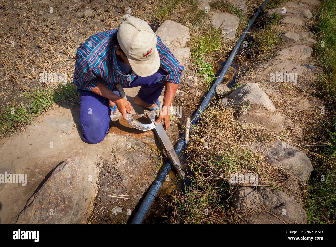 Un contadino affina la falce per essere pronto per la raccolta del riso, Punakha, Bhutan. Foto Stock