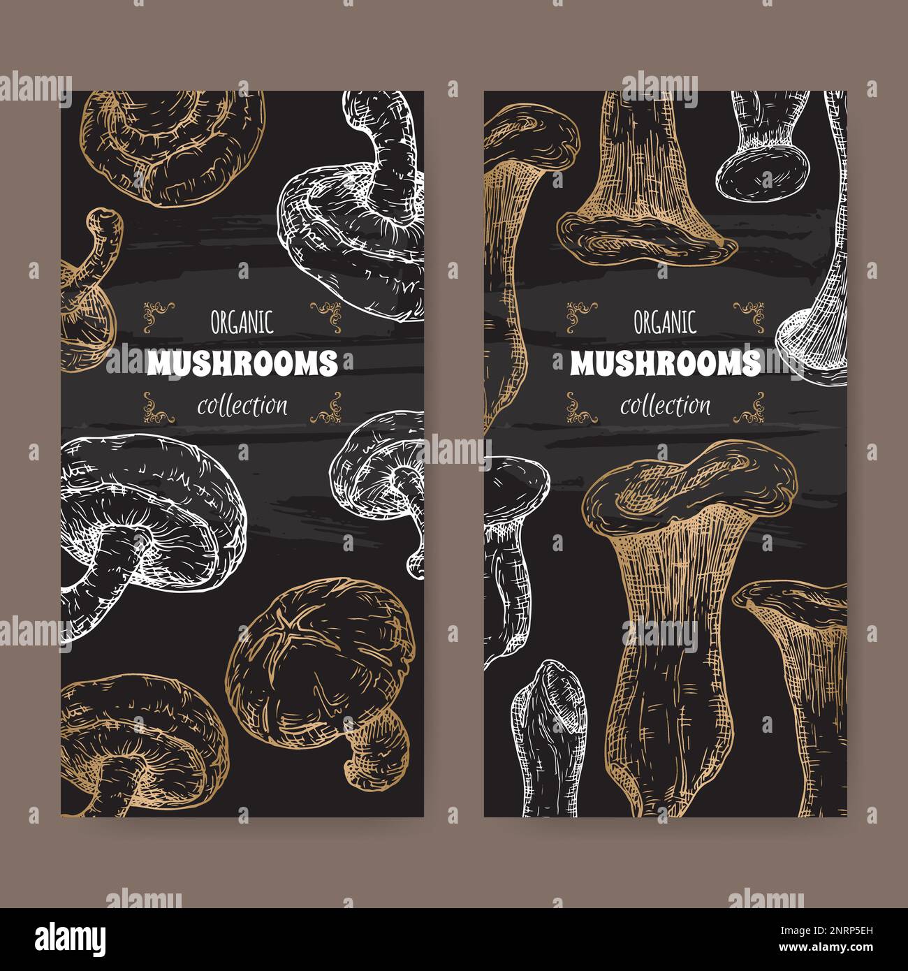 Due etichette con Lentinula edodes aka shiitake e Pleurotus eryngii aka king Oyster fungo schizzo su nero. Illustrazione Vettoriale