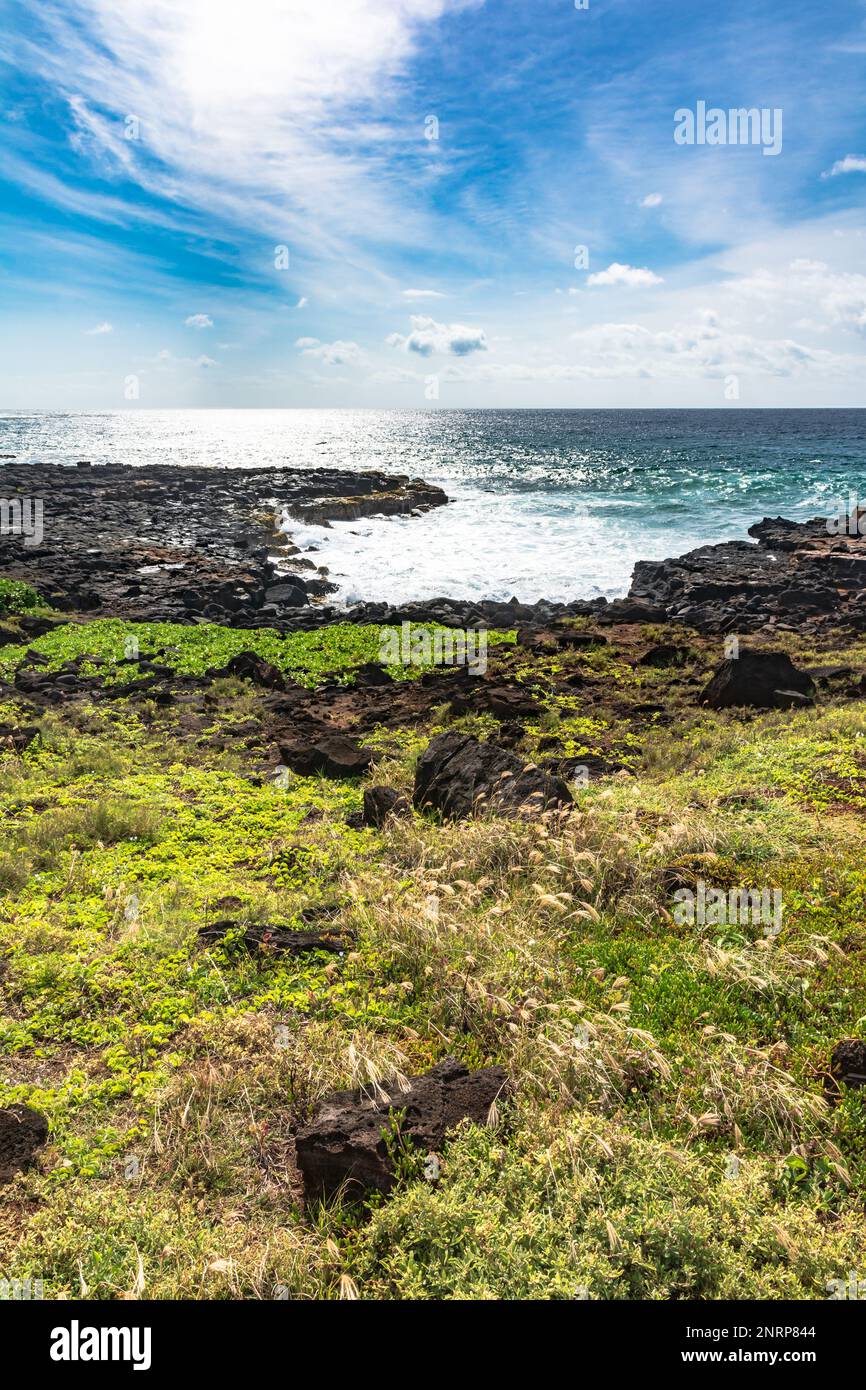 La costa lungo la baia di Keoniloa, Kauai, Hawaii Foto Stock
