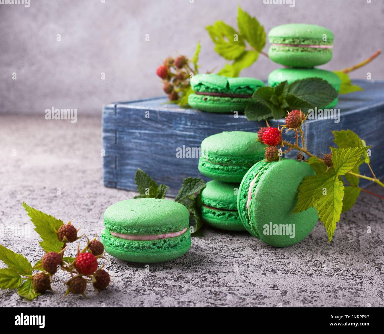 Macaron francesi alla menta verde fresco su scatola di legno e tavolo in cemento grigio chiaro. Primo piano, copia spazio, messa a fuoco selettiva. Sfondo orizzontale. Foto Stock