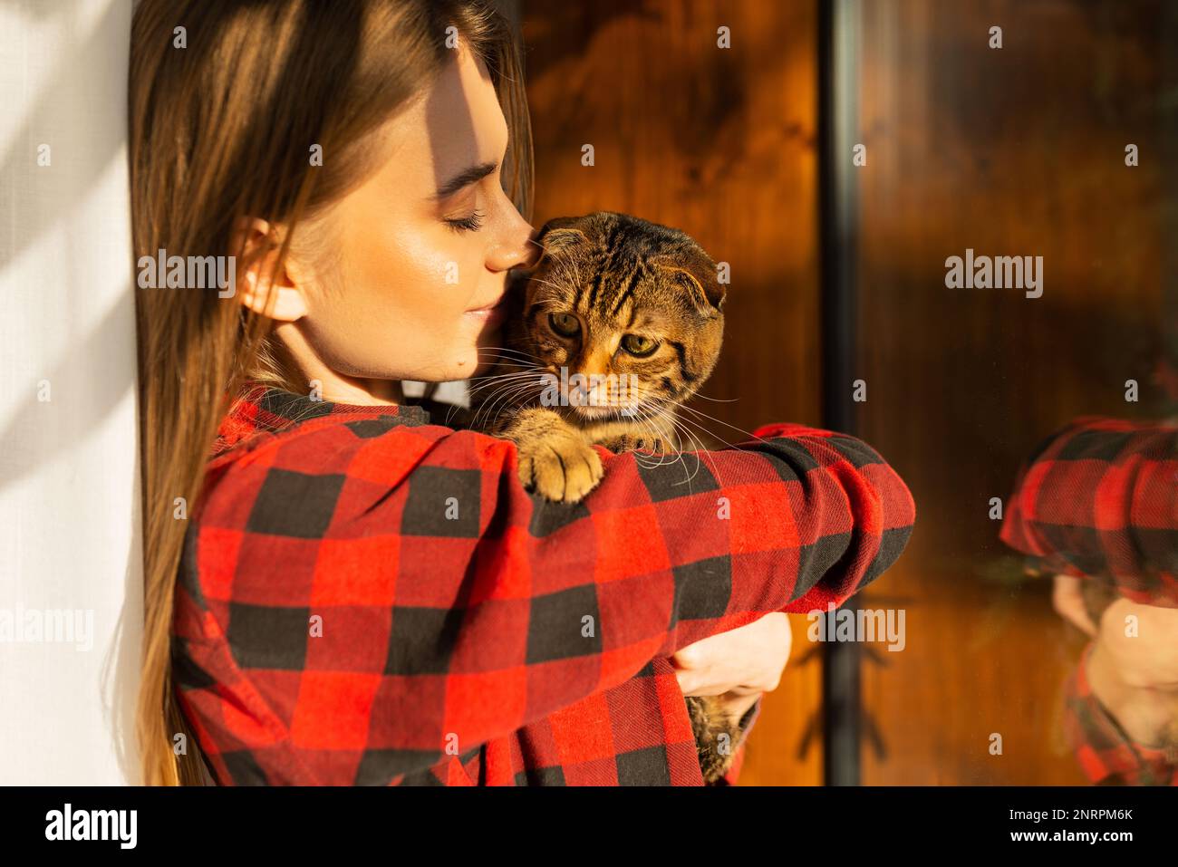 Casual giovane donna bionda tiene in spalla un carino con gli occhi verdi Scottish Cat e lo abbraccia a casa in piedi dalla finestra nella luce del tramonto Foto Stock