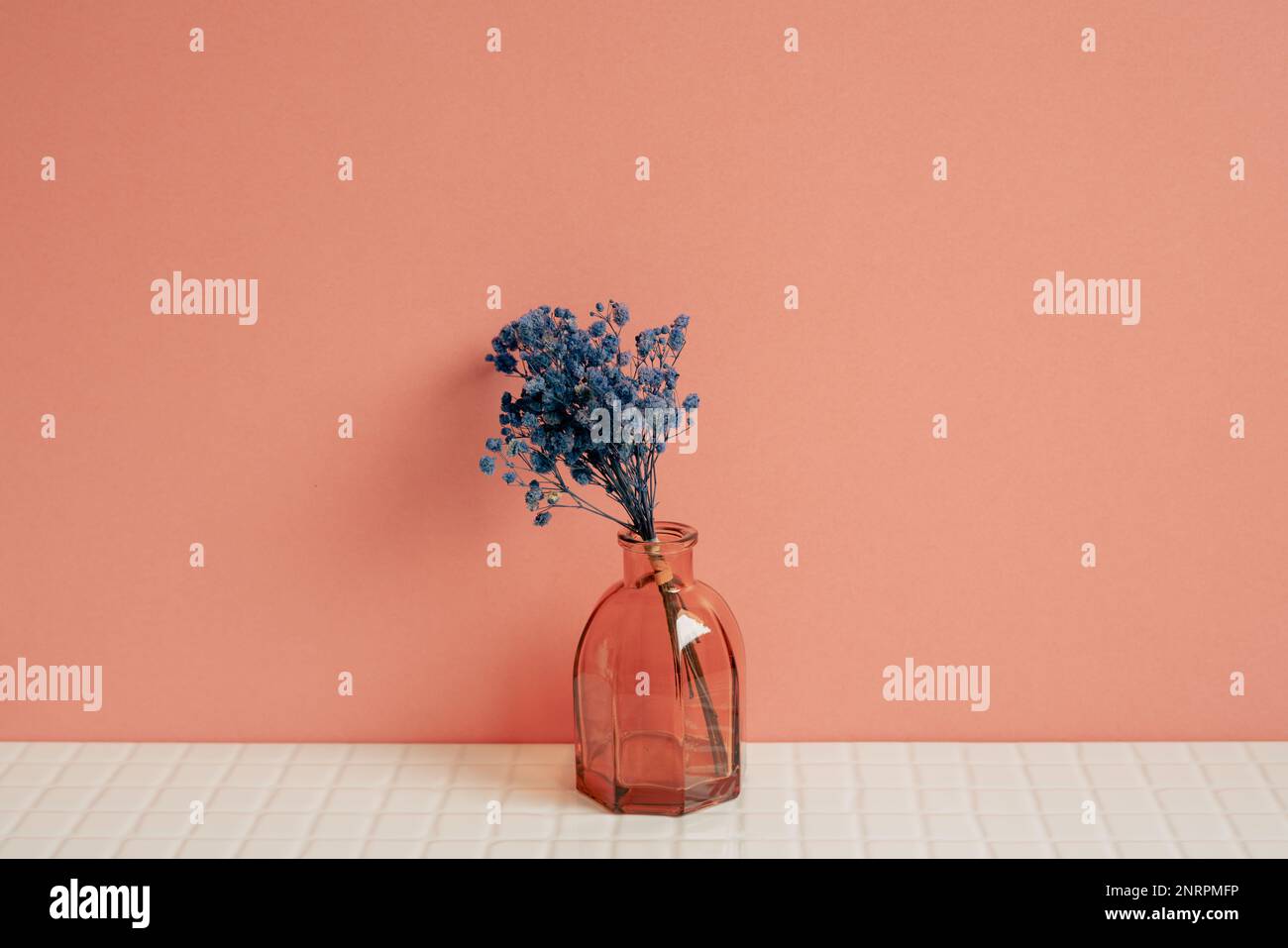 Vaso di vetro di fiori di gypsofila blu su tavolo bianco. sfondo parete rosa. arredamento per la casa Foto Stock