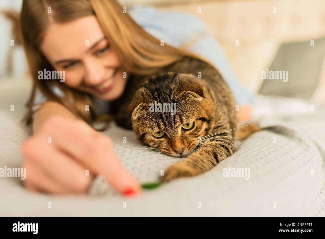Sorridente giovane donna bionda sdraiata nel suo letto in camicia una carina domestica giocando gatto scozzese tabby a casa, concetto di amare e prendersi cura degli animali domestici Foto Stock