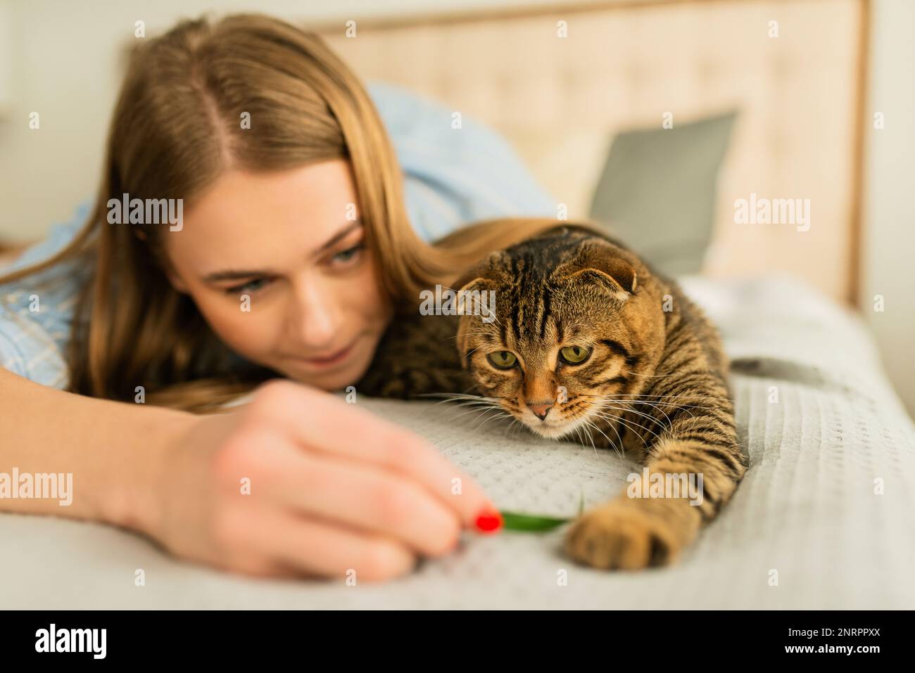 Sorridente giovane donna bionda sdraiata nel suo letto in camicia una carina domestica giocando gatto scozzese tabby a casa, concetto di amare e prendersi cura degli animali domestici Foto Stock