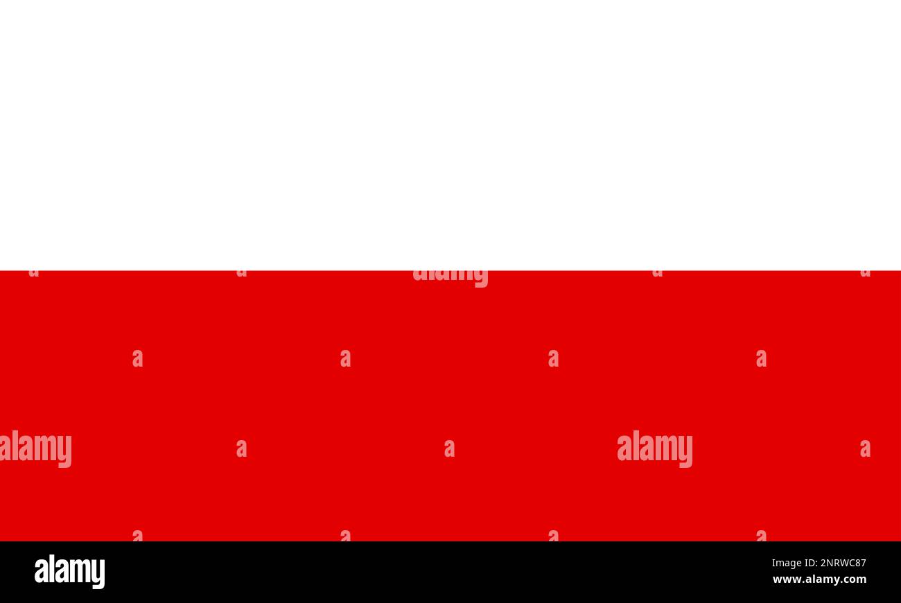 BANDIERA TURINGIA 90x60cm Per Esterno - BANDIERA LAND DI - Foto 9