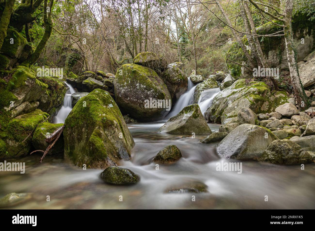 Rochers, rivière et chutes d'eau dans un décor vert de sous-bois Foto Stock