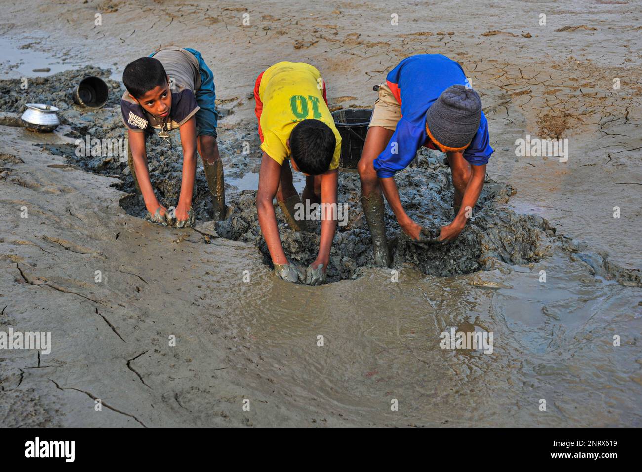 Non esclusiva: 27 febbraio 2023 a Sylhet-Bangladesh: I bambini rurali stanno raccogliendo pesci con le mani del fango. Mentre tutti gli abitanti del villaggio sono occupati Foto Stock