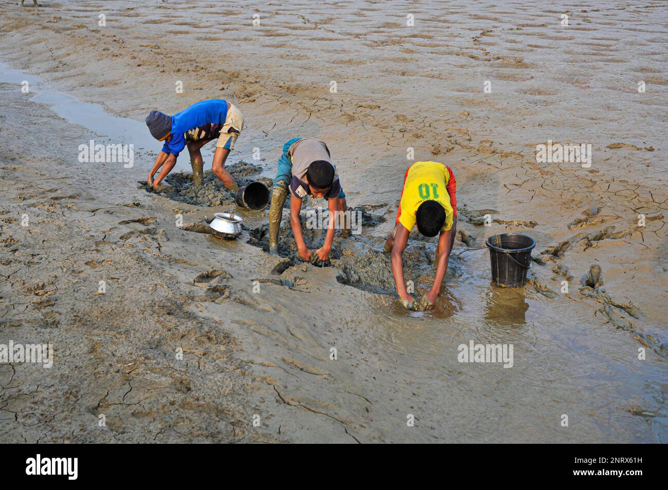 Non esclusiva: 27 febbraio 2023 a Sylhet-Bangladesh: I bambini rurali stanno raccogliendo pesci con le mani del fango. Mentre tutti gli abitanti del villaggio sono occupati Foto Stock