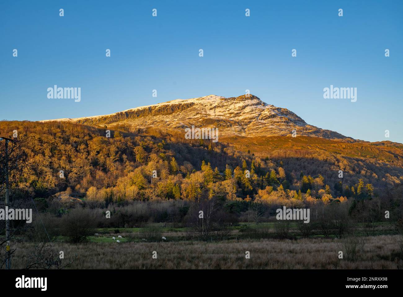 Guardando verso le colline della vale di Ffestiniog snowdonia dalla strada di campagna vicino Gellilydan, Blaenau Ffestiniog in un tardo pomeriggio invernale. Foto Stock