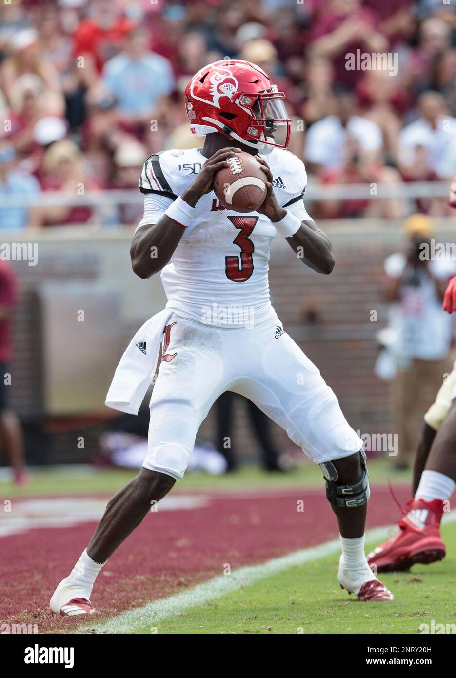 TALLAHASSEE, FL - SEPTEMBER 21: Louisville Cardinals quarterback Malik Cunningham (3) drops back to pass during the game between the Florida State Seminoles and the Louisville Cardinals on September 21, 2019, at Doak Campbell Stadium in Tallahassee, Florida. (Photo by Logan Stanford/Icon Sportswire) (Icon Sportswire via AP Images) Foto Stock