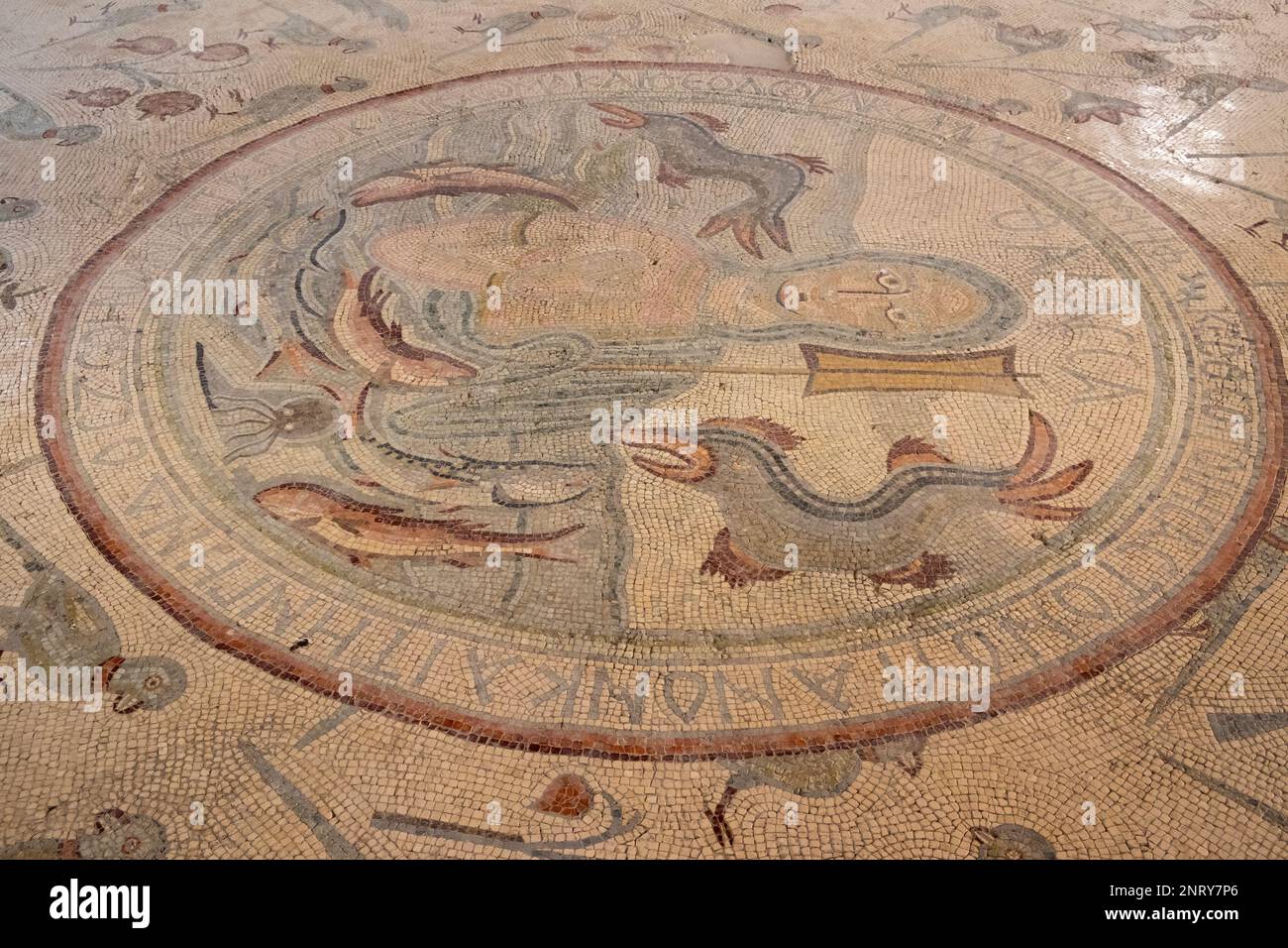 Il pavimento a mosaico della chiesa degli Apostoli, Madaba, Giordania Foto Stock