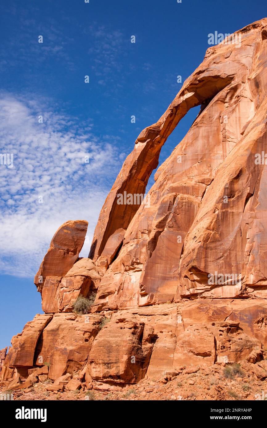 Jug Handle Arch è un arco quasi verticale in arenaria di Wingate vicino al fiume Colorado vicino a Moab, Utah. Foto Stock