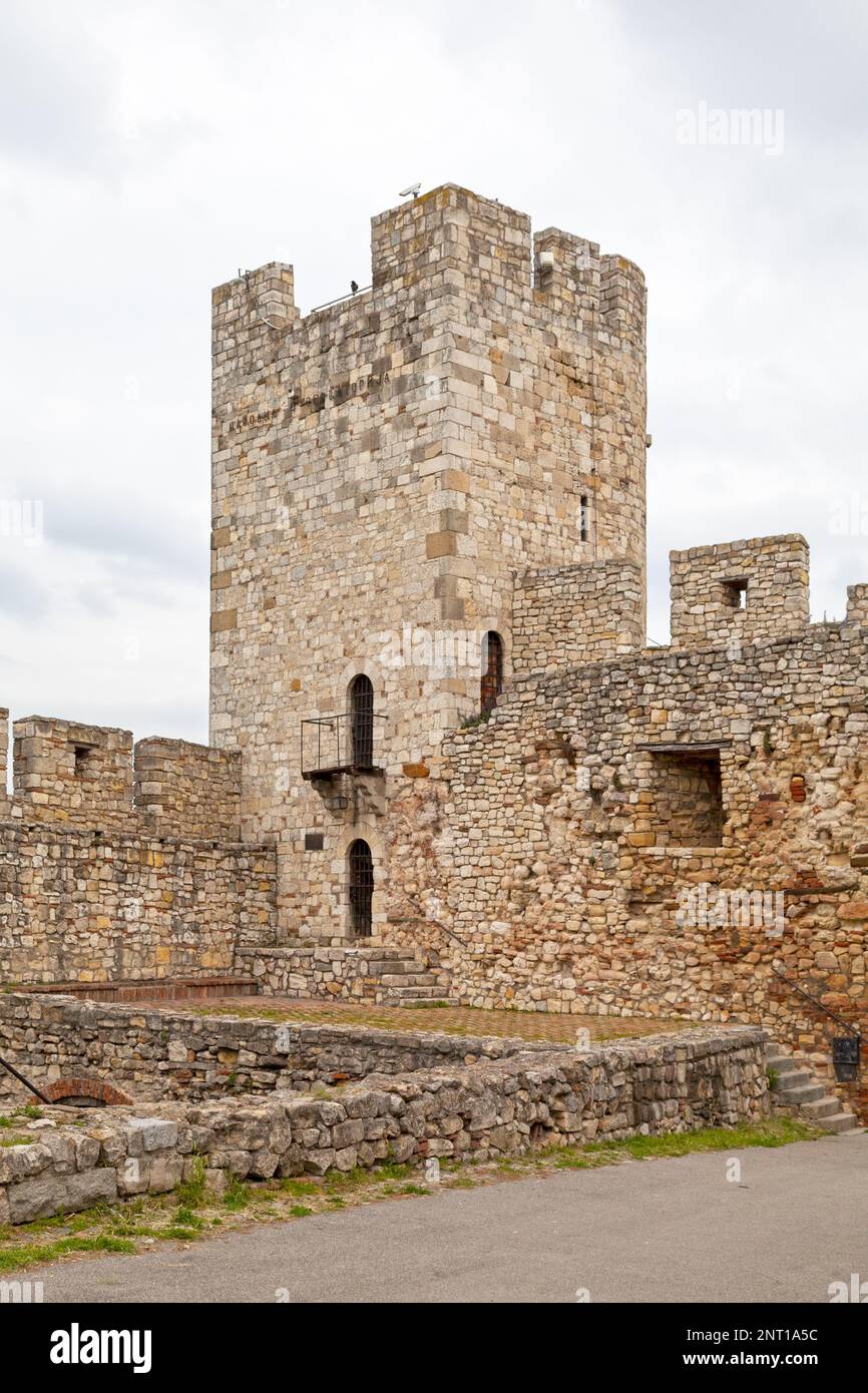 La Despot Stefan Tower (Serbo: Деспотова кула) o Dizdar Tower (Диздарева кула) è una struttura a Belgrado, Serbia, costruita a ca. 1405. Foto Stock