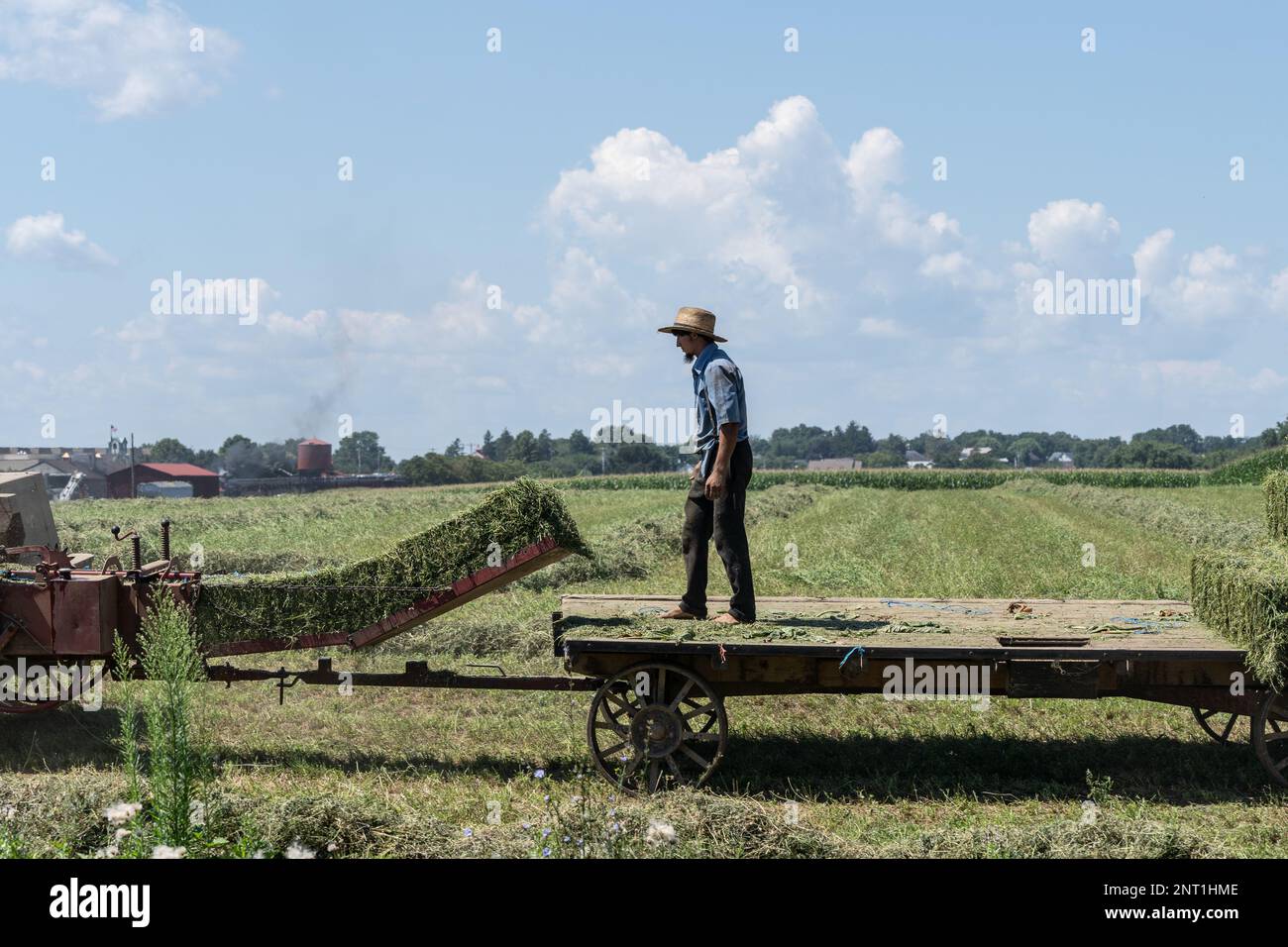Ronks, Lancaster County, Pennsylvania- 19 agosto 2022: Amish Farmer indossare un cappello di paglia raccolti fieno in tarda estate in fattoria nella contea di Lancaster, Pa Foto Stock