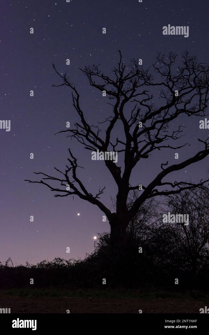 Due pianeti vicini alla congiunzione, Giove sopra Venere, fine febbraio 2023, che splende luminosamente basso nel cielo notturno sopra il Regno Unito Foto Stock