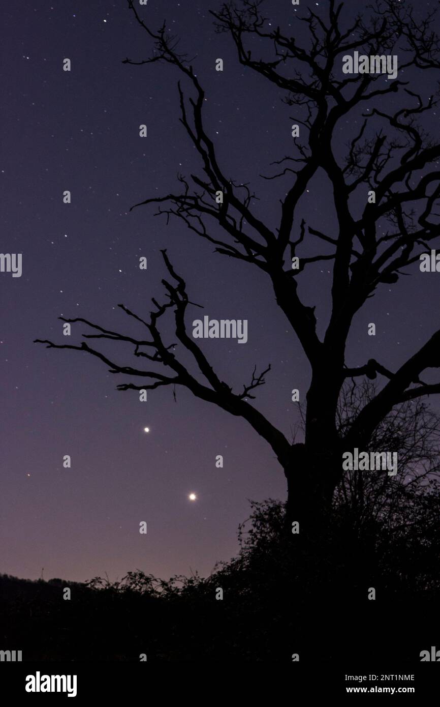 Due pianeti vicini alla congiunzione, Giove sopra Venere, fine febbraio 2023, che splende luminosamente basso nel cielo notturno sopra il Regno Unito Foto Stock