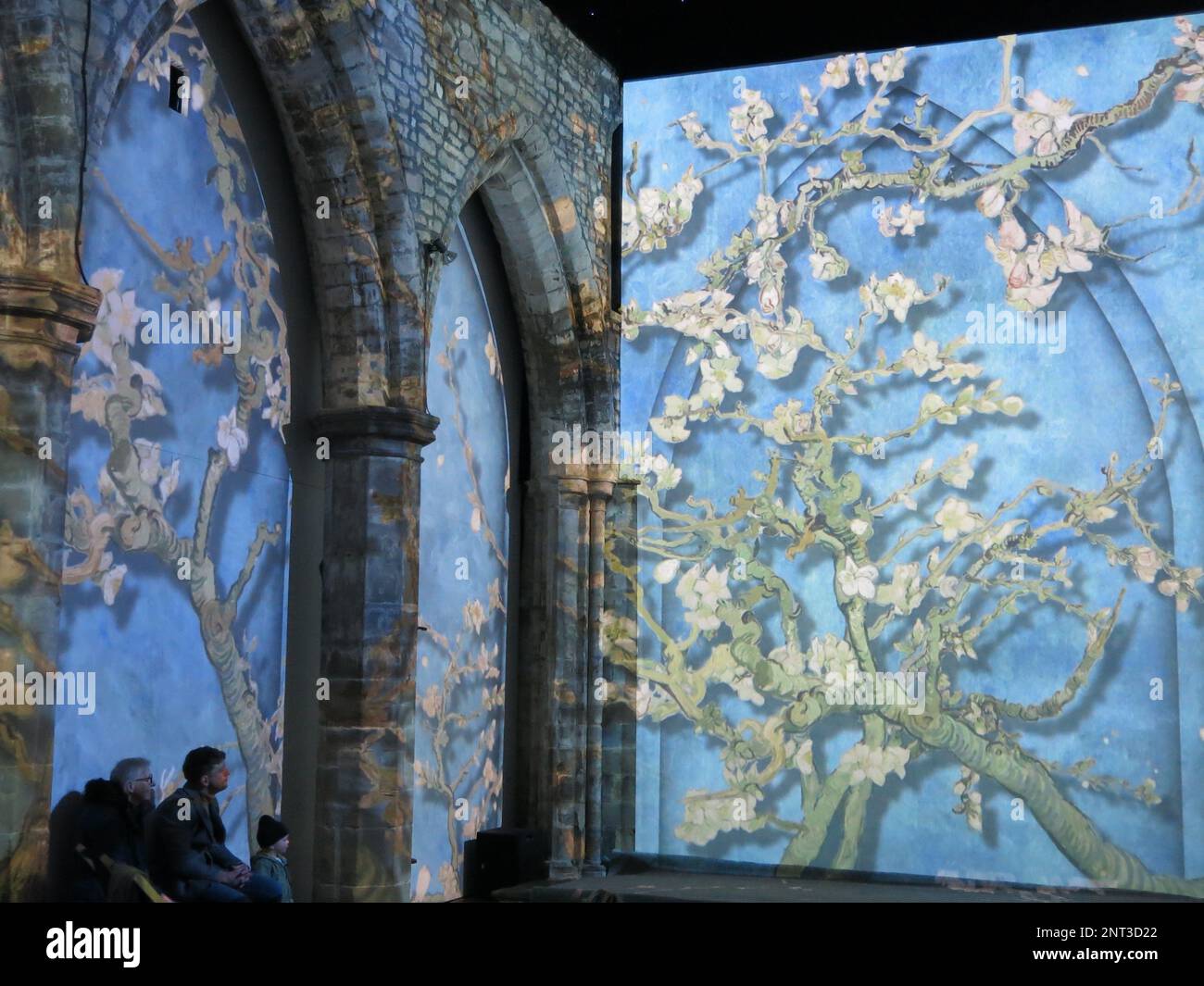 Arte immersiva: Un nuovo modo per sperimentare le opere di Van Gogh come il dipinto "Almond Blossom" proiettato nel 3D in una vecchia chiesa di Leicester. Foto Stock