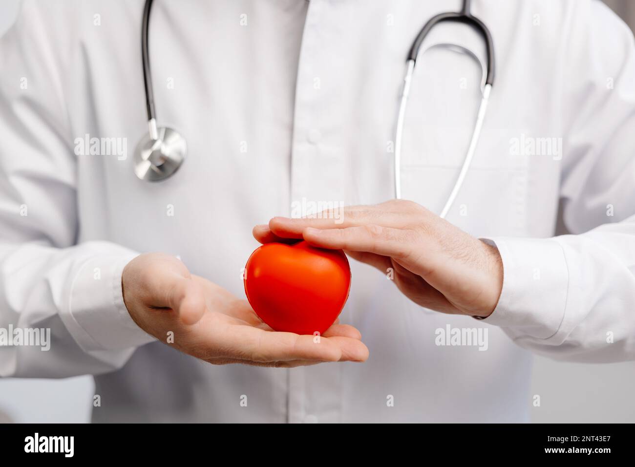 Medico in cappotto bianco che tiene un cuore rosso nelle mani vicino. Concetto di assistenza medica e del personale medico. Foto Stock