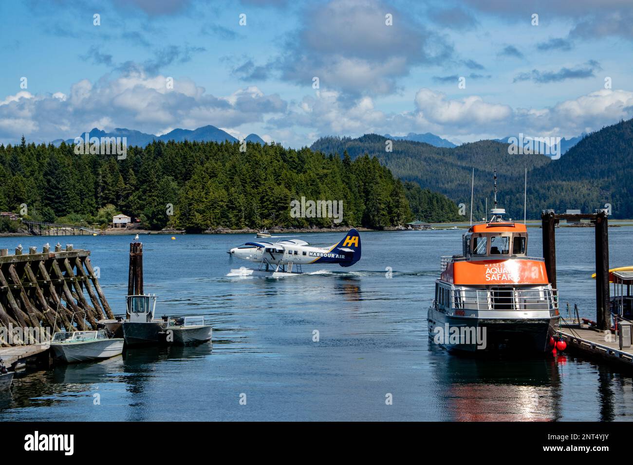 Aereo da mare che cerca di decollare dalla marina - Tofino, Vancouver Island, BC, Canada Foto Stock