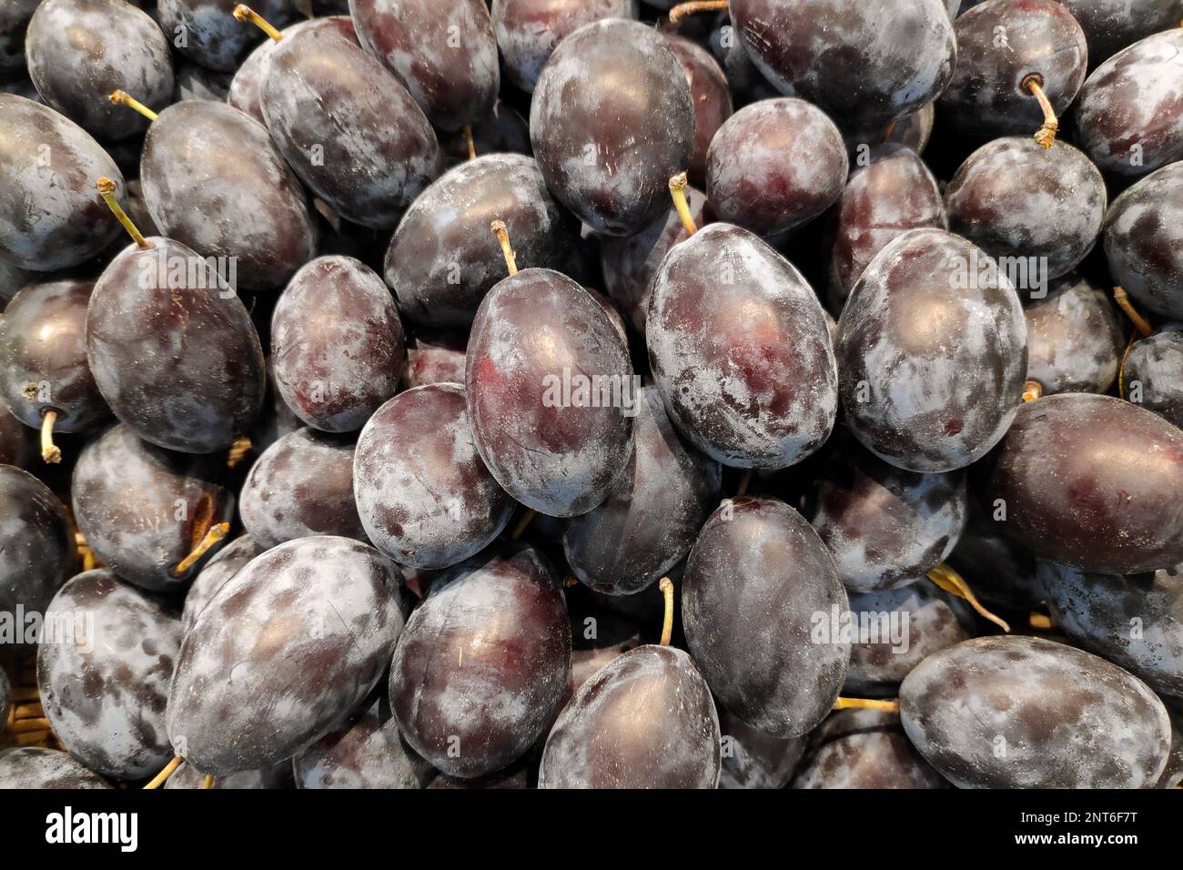 Primo piano su una pila di prugne di quetsche in vendita su una bancarella di mercato. Foto Stock