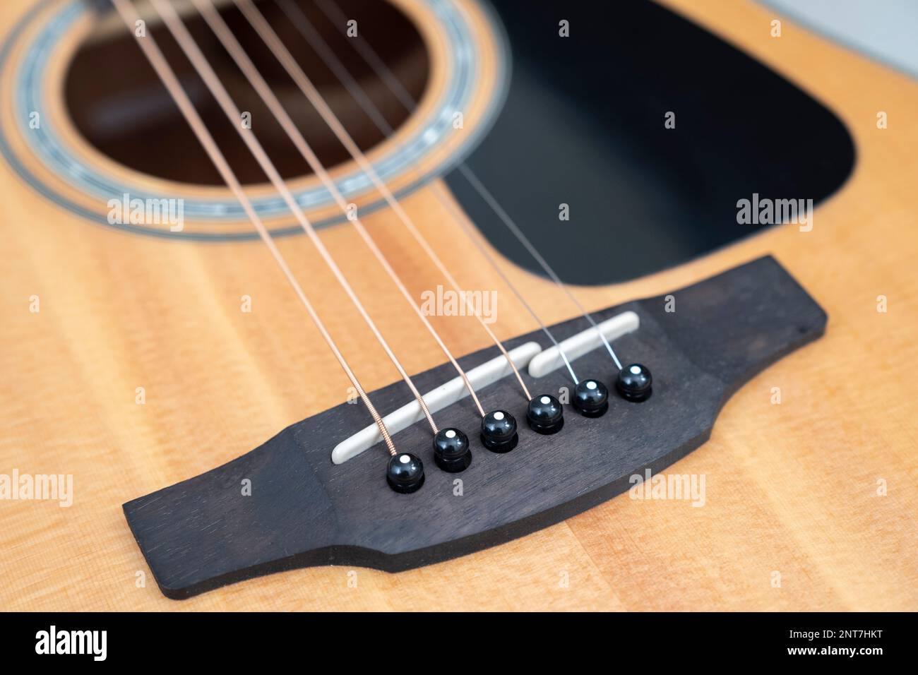 particolare del ponte di una chitarra acustica in legno chiaro con sella e spille, messa a fuoco selettiva, orizzontale Foto Stock