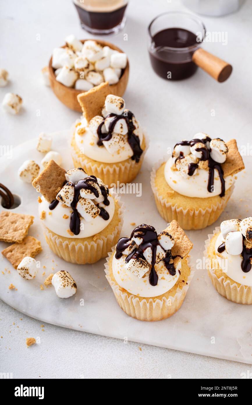 Cupcake Smores con piccoli marshmallow, cracker graham sbriciolati e sciroppo di cioccolato Foto Stock