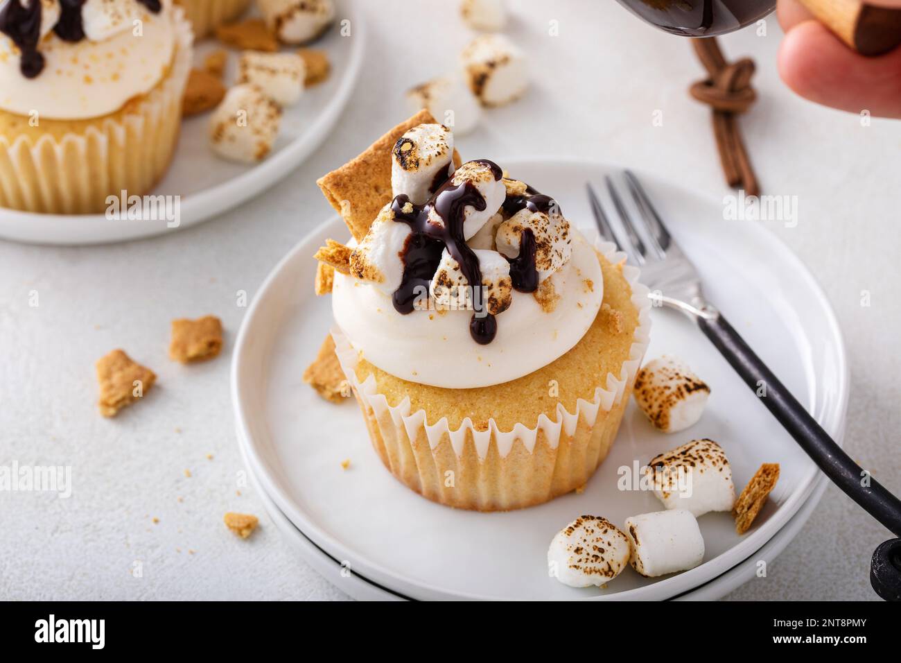 Cupcake Smores con piccoli marshmallow, cracker graham sbriciolati e sciroppo di cioccolato Foto Stock