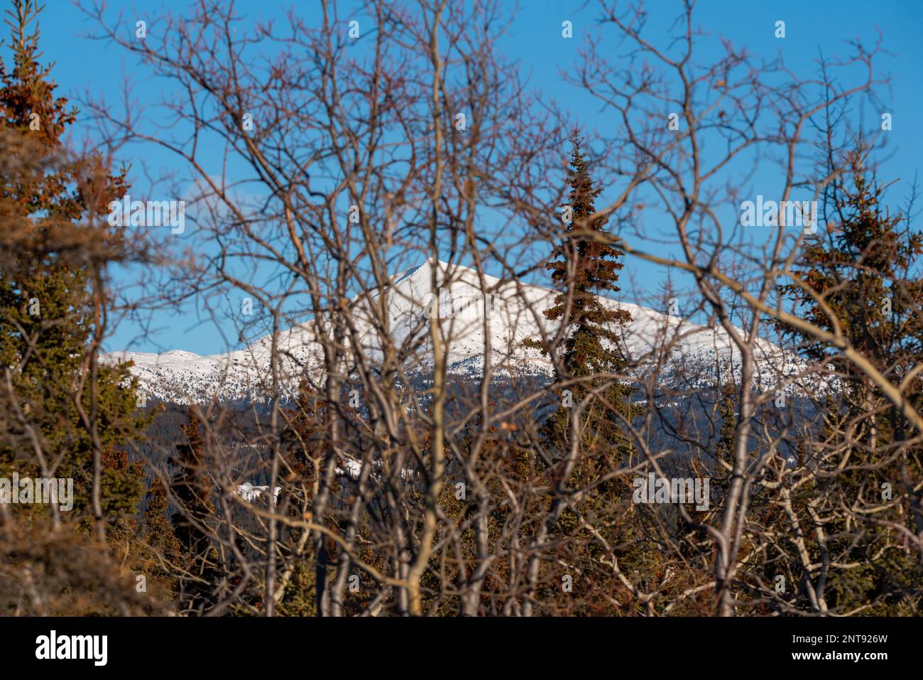 In inverno, vista sulla natura selvaggia del lago Marsh al di fuori di Whitehorse nel territorio dello Yukon, con acqua ghiacciata e montagne innevate. Foto Stock