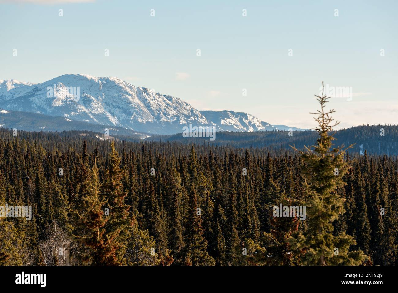 In inverno, vista sulla natura selvaggia del lago Marsh al di fuori di Whitehorse nel territorio dello Yukon, con acqua ghiacciata e montagne innevate. Foto Stock