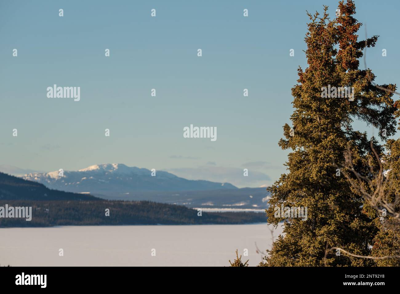 In inverno, vista sulla natura selvaggia del lago Marsh al di fuori di Whitehorse nel territorio dello Yukon, con acqua ghiacciata e montagne innevate. Foto Stock