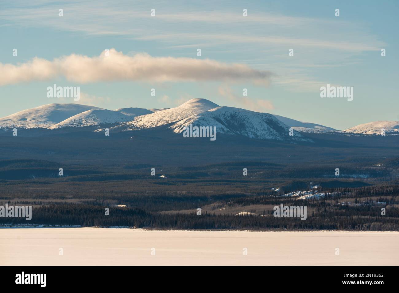 In inverno, vista sulla natura selvaggia del lago Marsh al di fuori di Whitehorse nel territorio dello Yukon, con acqua ghiacciata e montagne innevate. Foto Stock