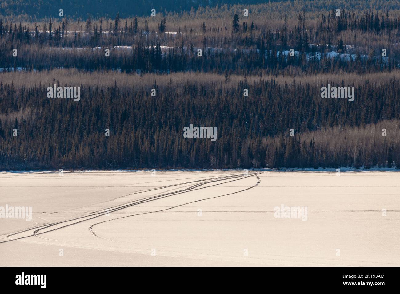 In inverno, vista sulla natura selvaggia del lago Marsh al di fuori di Whitehorse nel territorio dello Yukon, con acqua ghiacciata e montagne innevate. Foto Stock
