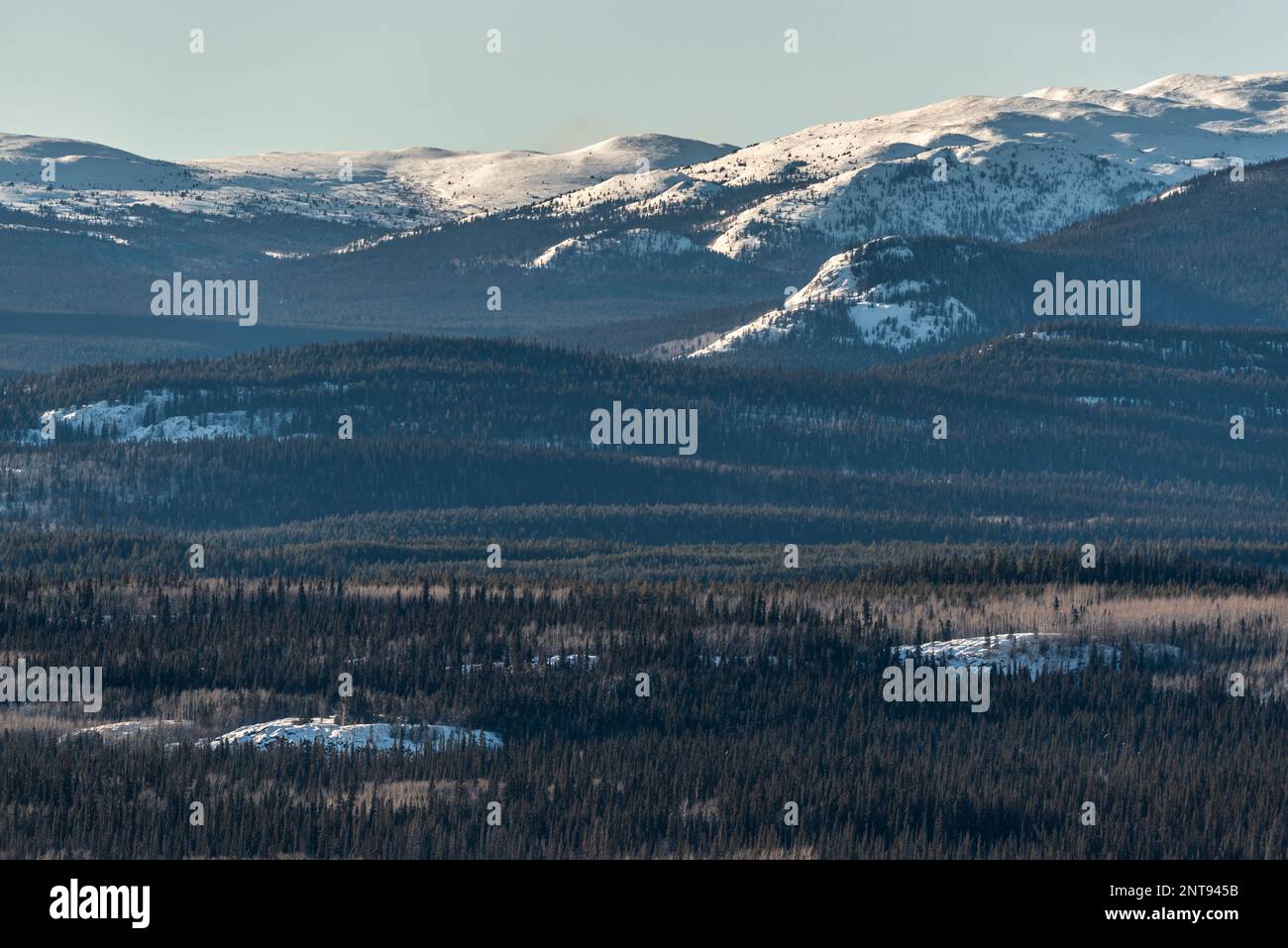 In inverno, vista sulla natura selvaggia del lago Marsh al di fuori di Whitehorse nel territorio dello Yukon, con acqua ghiacciata e montagne innevate. Foto Stock