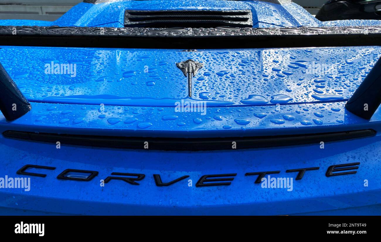Blue Corvette Stingray Foto Stock