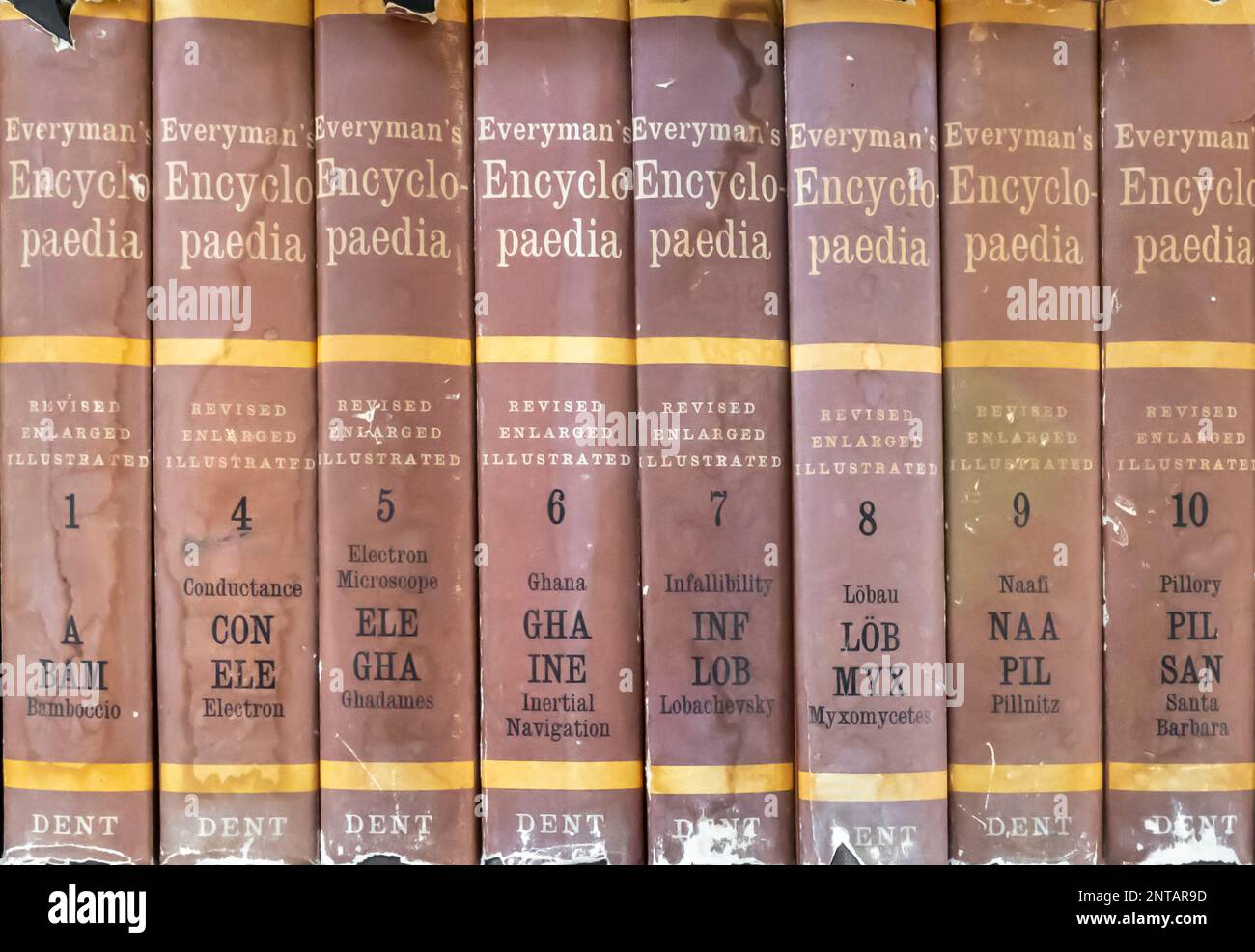 Everyman's Encyclopedia Book pubblicato da Joseph Dent dal 1913 come parte della Everyman's Library.Volumes in scaffale Foto Stock