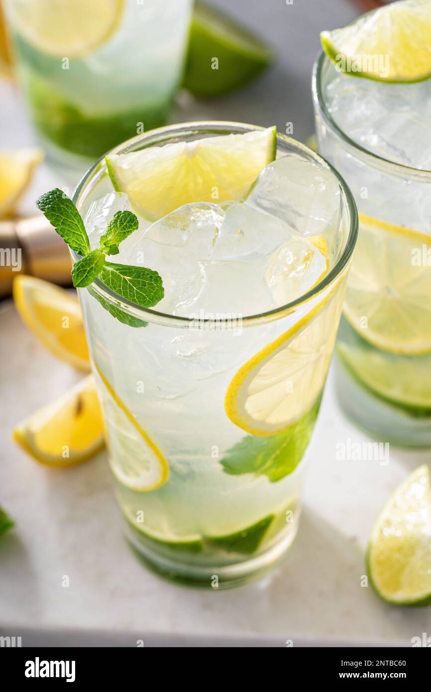 Cocktail mojito al limone e lime in bicchieri alti con lime e menta fresca Foto Stock