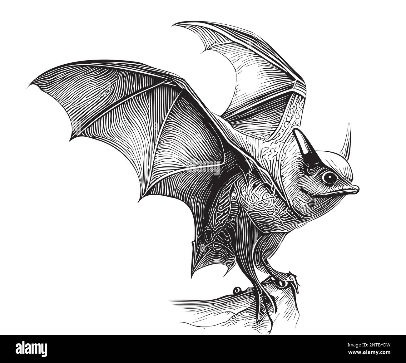 BAT Flying disegno a mano Vector Illustration Halloween Illustrazione Vettoriale