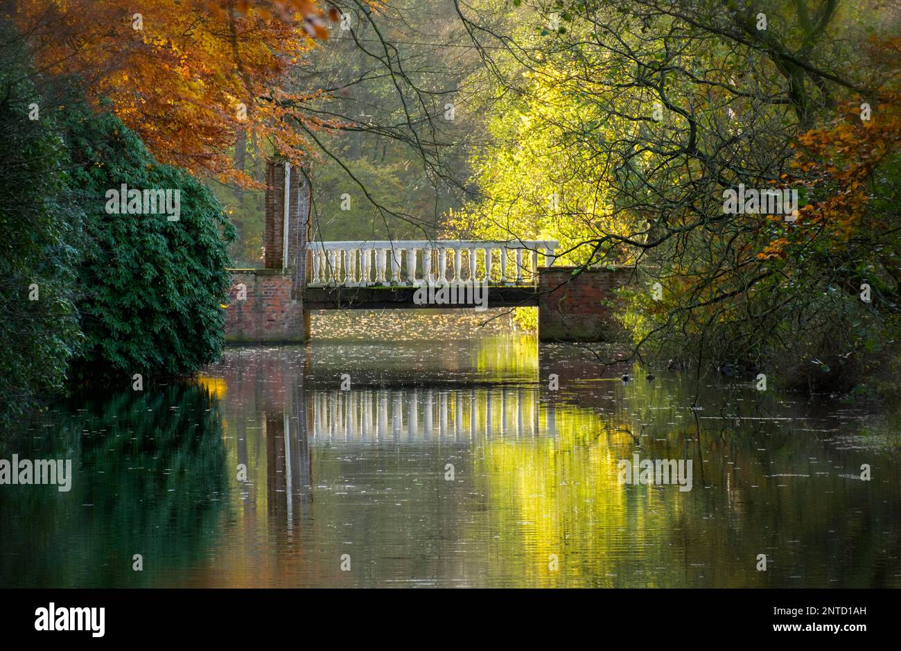 Luce autunnale Foto Stock