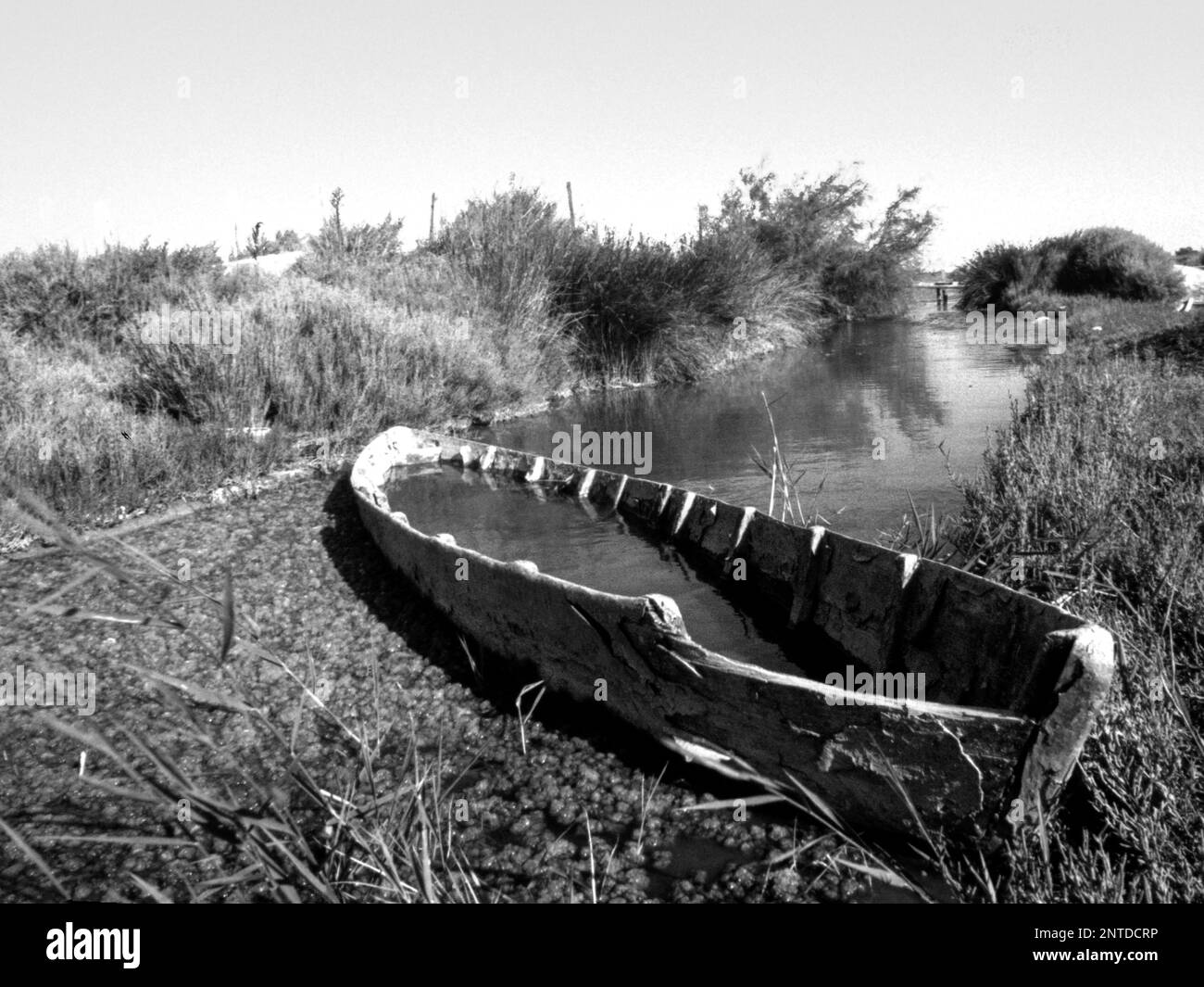 Marodes barca a remi, Camargue, Buches du Rhone, Provenza, Francia Foto Stock