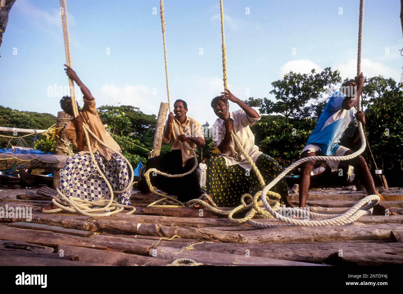 Funzionamento delle reti da pesca cinesi Cheena vala a Fort Kochi Cochin, Kerala, India meridionale, India, Asia Foto Stock