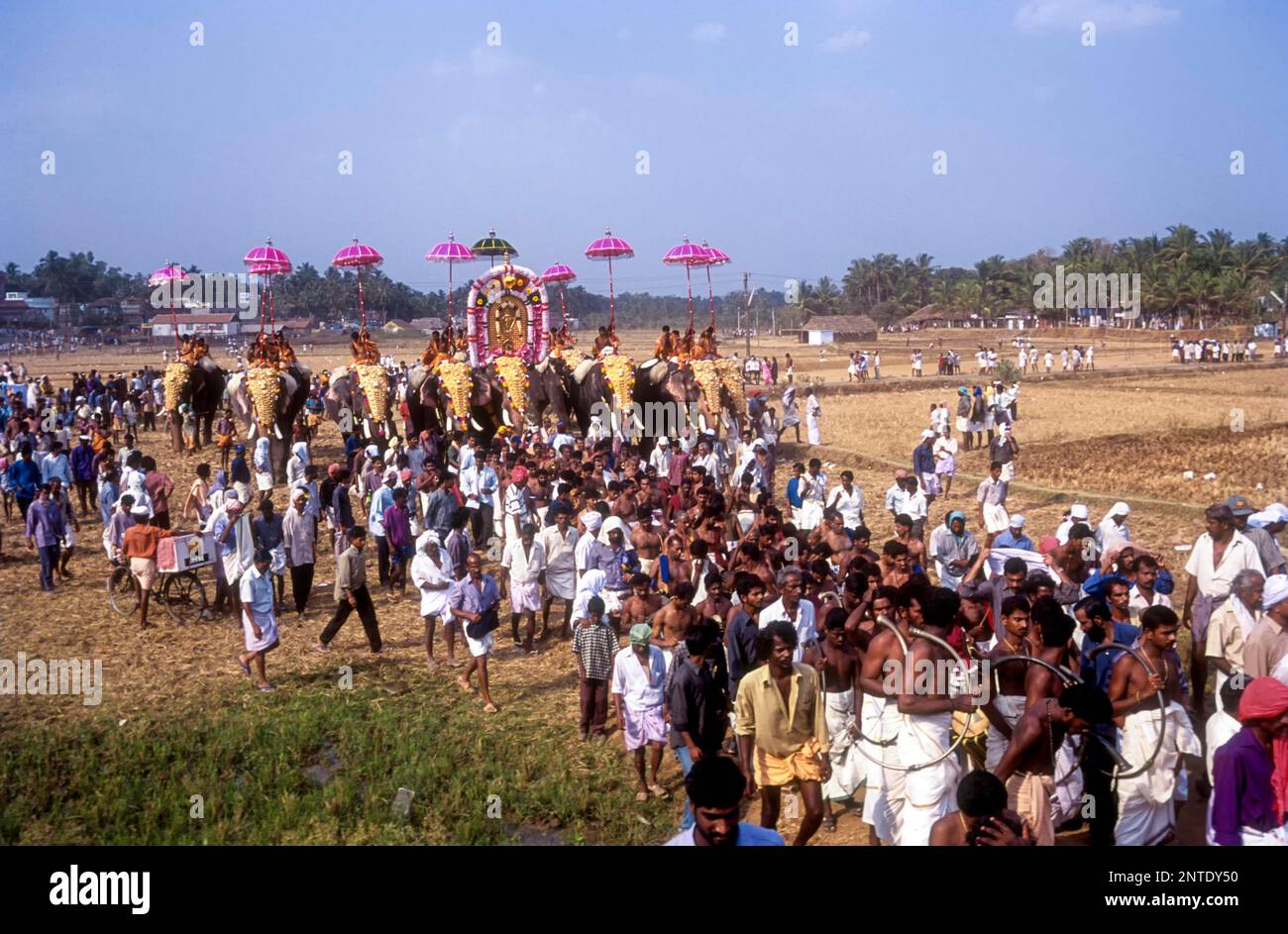 Vallanghy Nenmara vela festival, Kerala, India del Sud, India, Asia Foto Stock