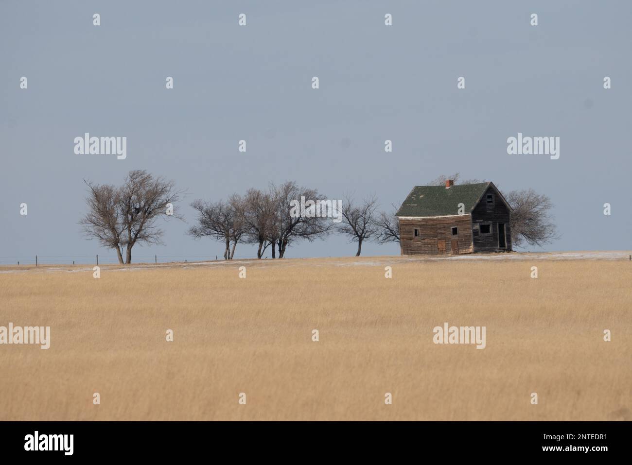 Paesaggio di prateria invernale con praterie e fienile Foto Stock