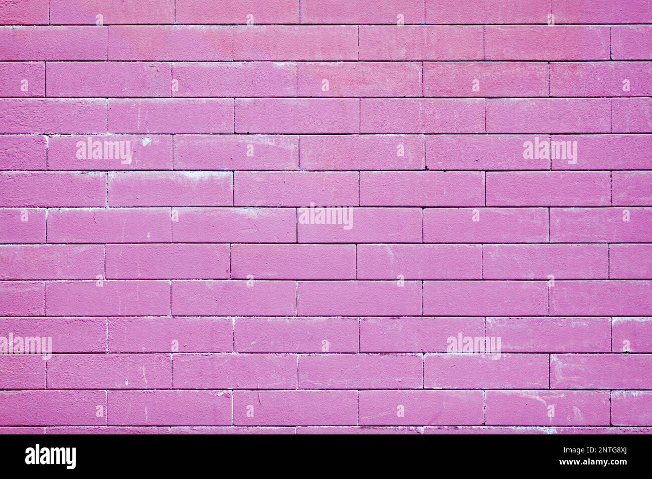 Primo piano su una parete in mattoni dipinta in viola. Foto Stock