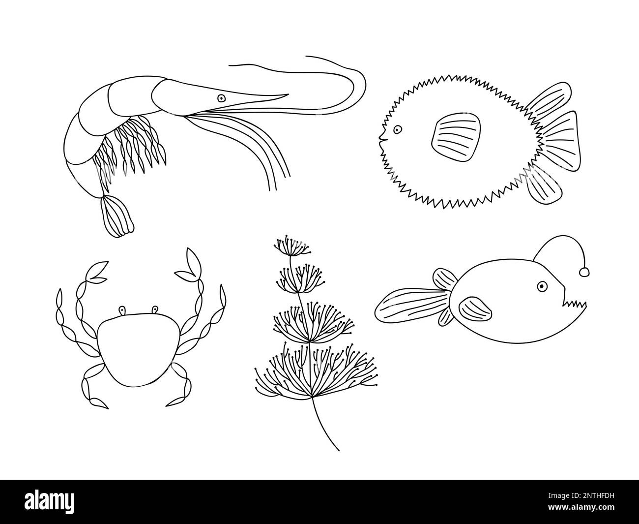 Gli animali del mare impostato Illustrazione Vettoriale