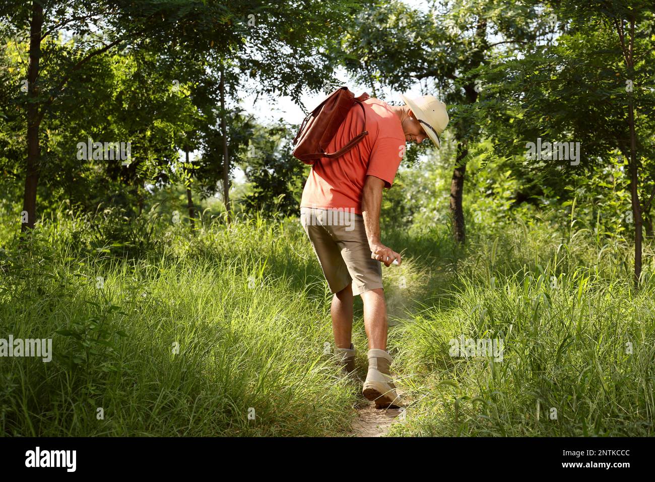 Uomo che spruzzano il repellente del tick sulla gamba durante l'escursione in natura Foto Stock
