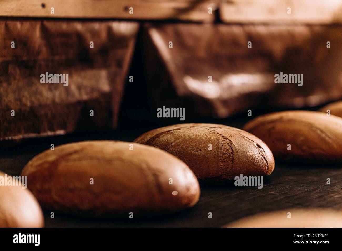 produzione industriale di prodotti da forno su una linea di assemblaggio - tecnologia e macchinari nella fabbrica alimentare. Foto Stock