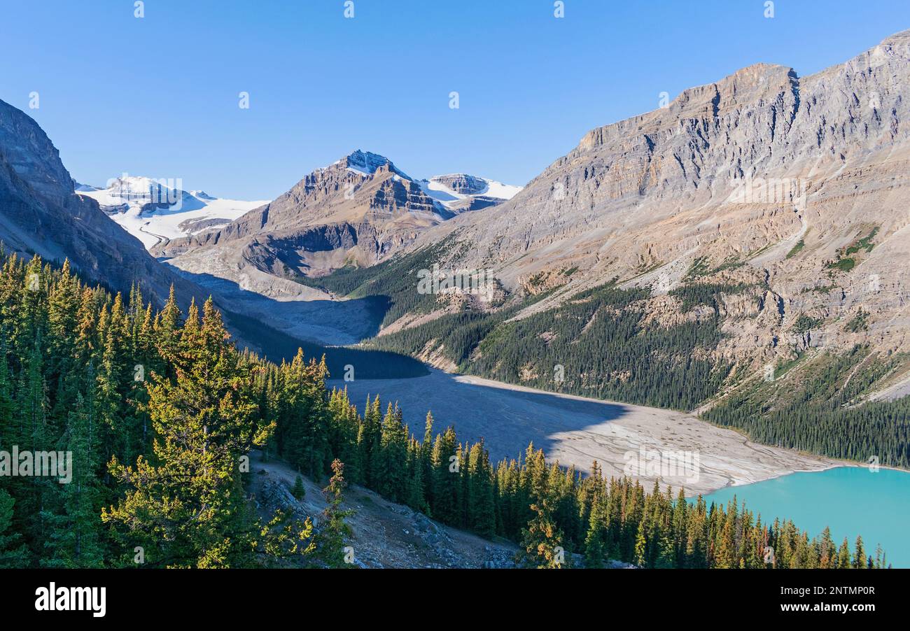 Il Ghiacciaio di Peyto che si restringe diventa il lago di Peyto nel Parco Nazionale di Banff in Alberta Canada con un cielo blu chiaro sullo sfondo Foto Stock